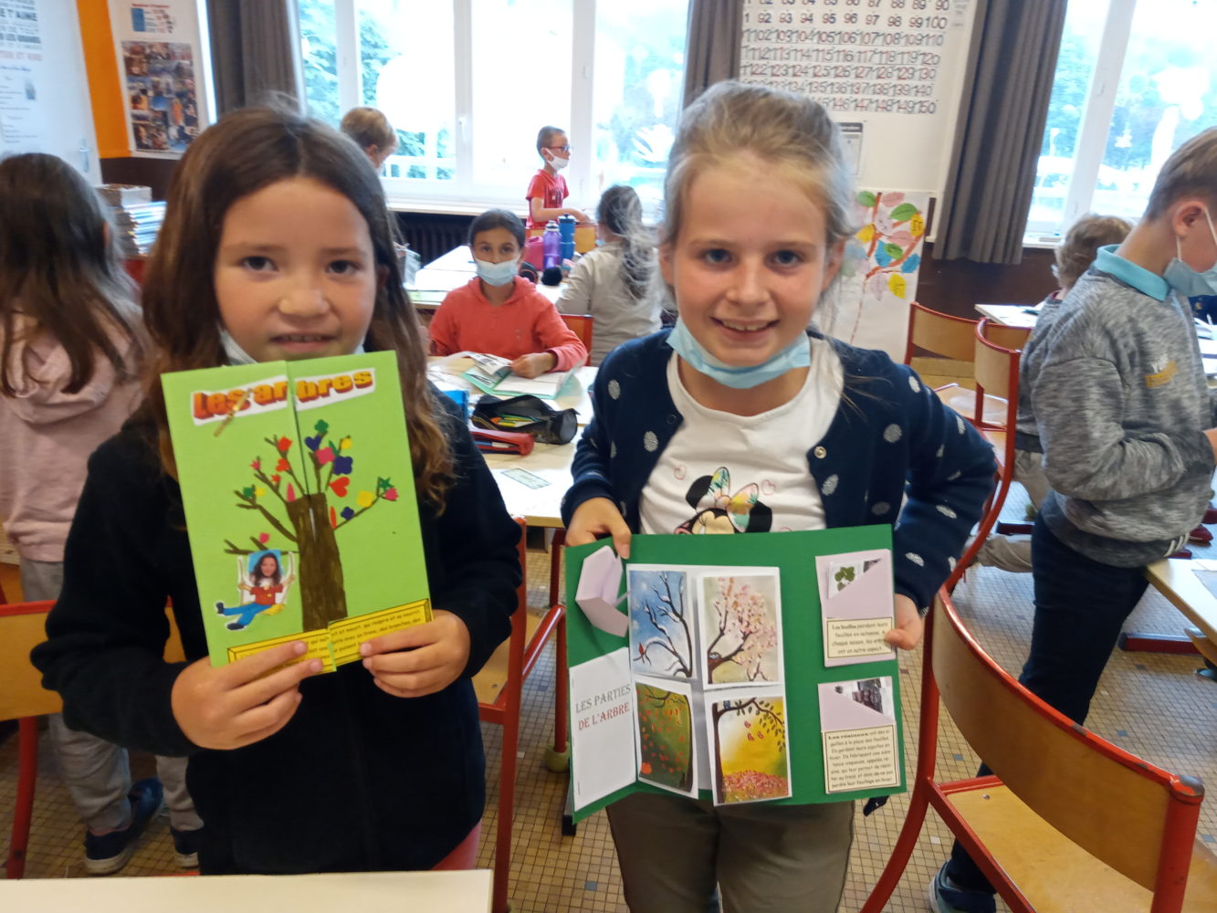 Lapbook sur les arbres