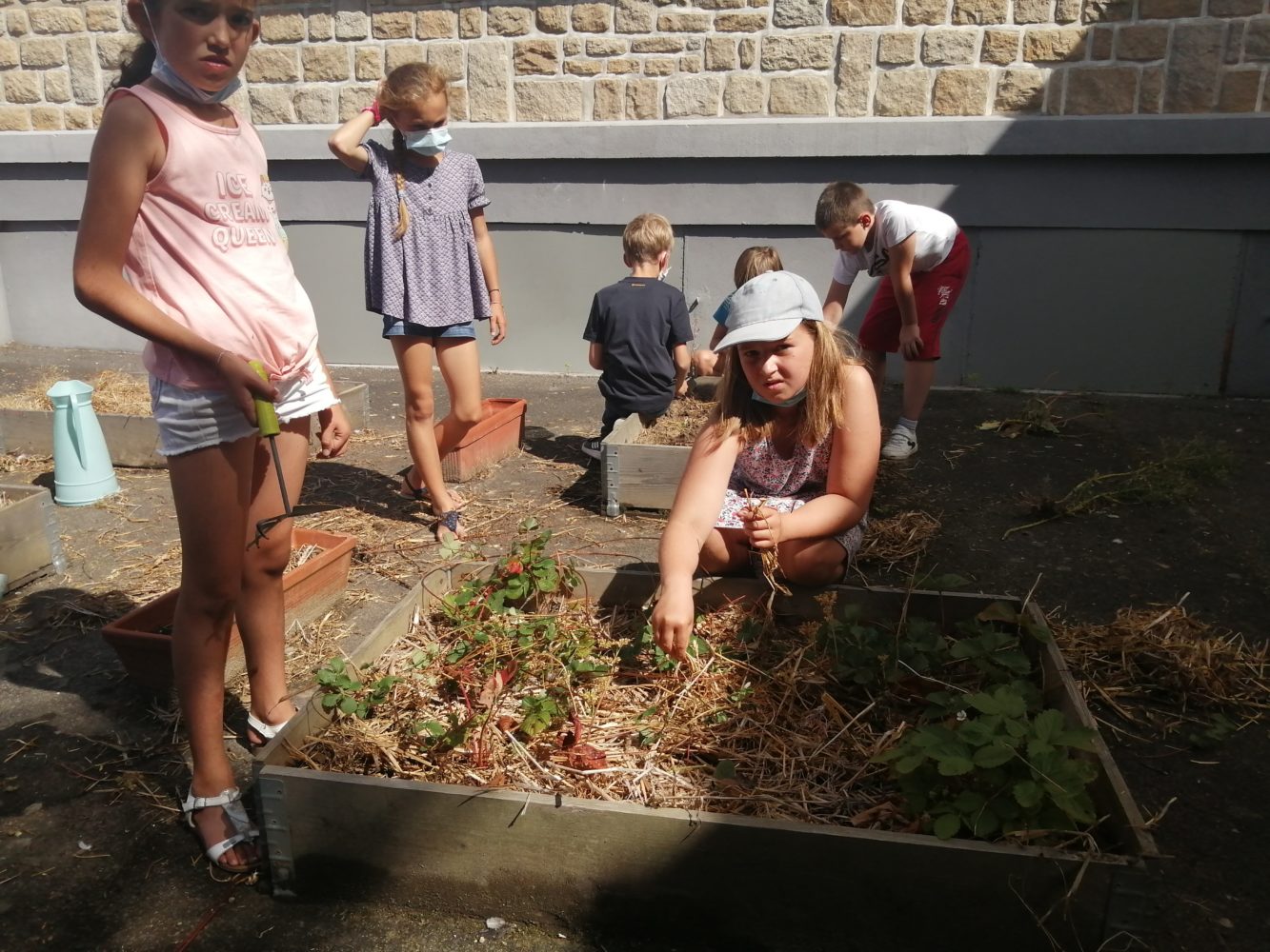 Jardiniers en herbe