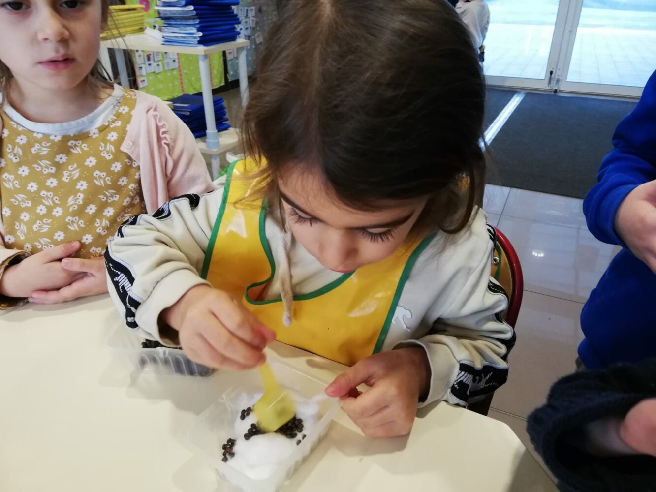 Semis en maternelle