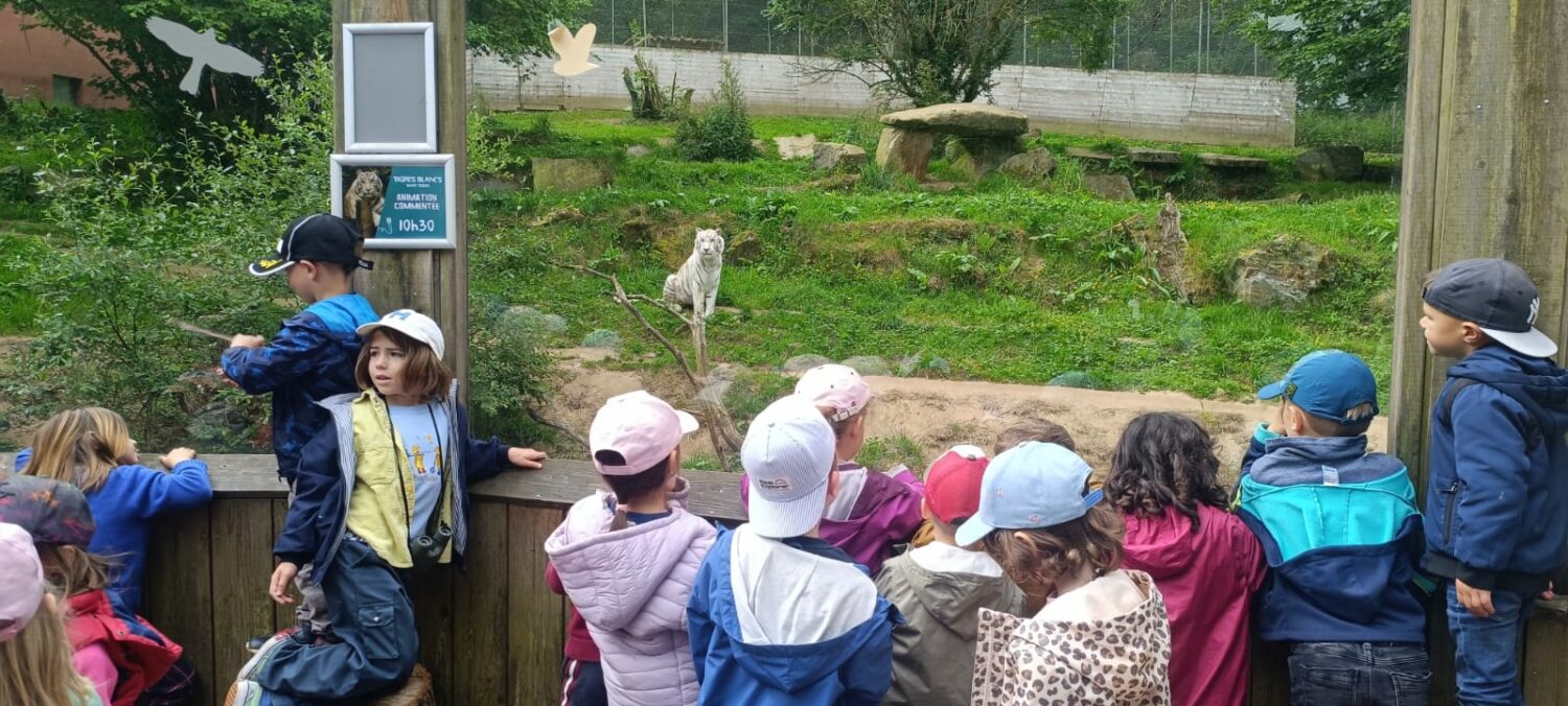 Les maternelles au zoo de Trégomeur
