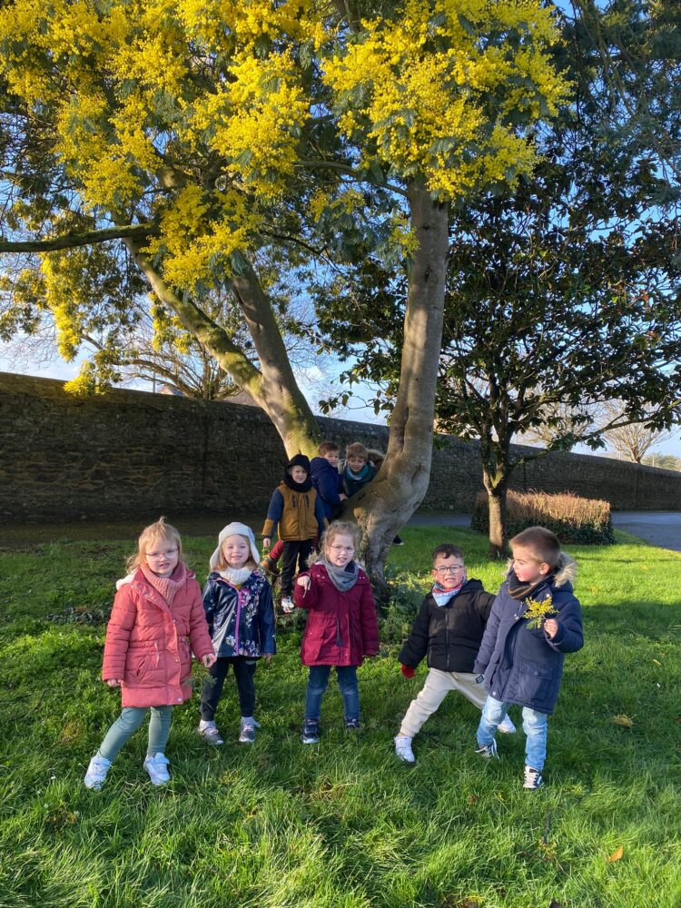 Ballade dans le parc des sœurs
