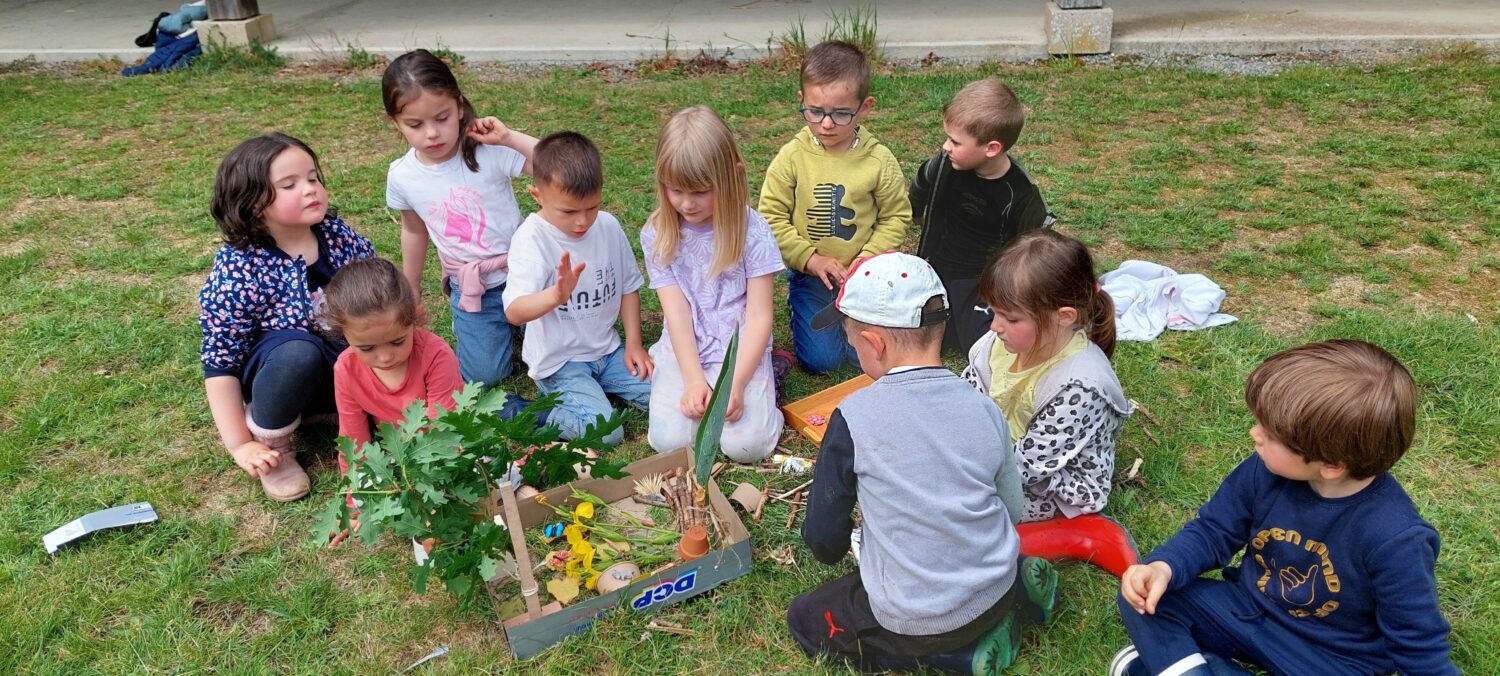 CE1 et Maternelles : L’habitat des petites bêtes